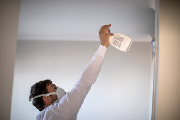 Best Home Mold Removal  in De Motte, IN