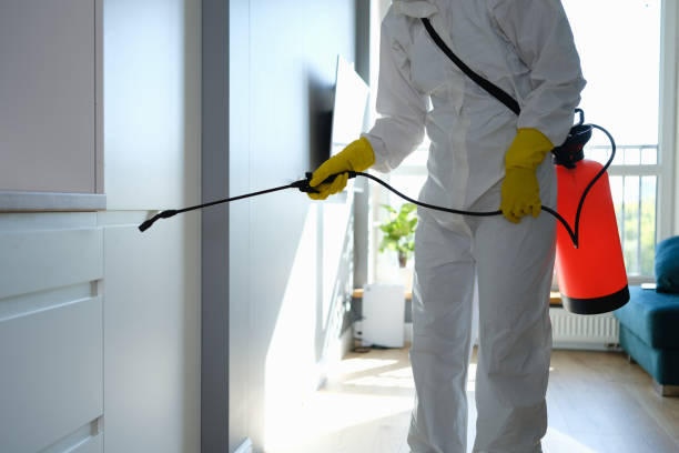 Best Office Mold Removal Services  in De Motte, IN