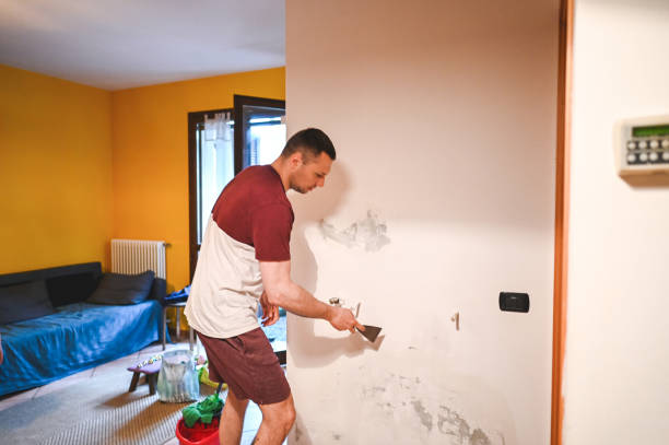 Mold Removal and Inspection in De Motte, IN
